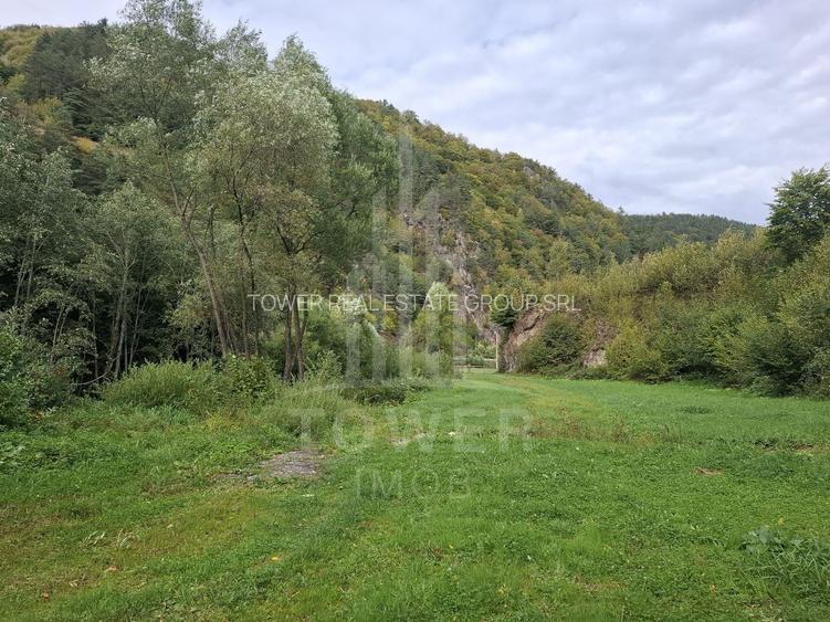 Teren Intravilan de Vânzare – 3622 mp – Râu Sadului - 10