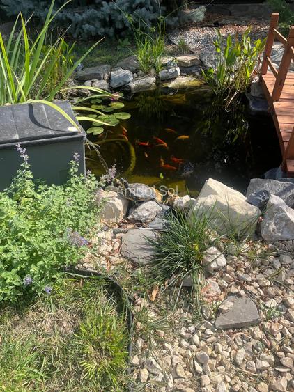 Casa moderna in Balotesti, 4 cam, 3 bai, curte superba 730 mp, 0% comision - 24