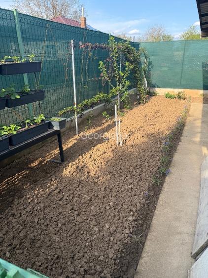 Casă de vânzare comuna Fundeni - 12