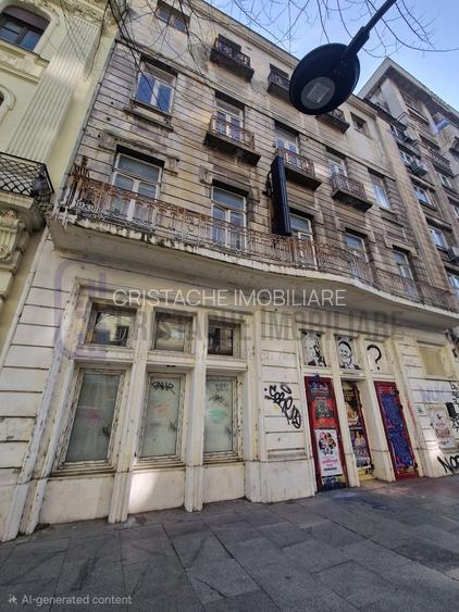 Spatiu comercial stradal Regina Elisabeta - 10