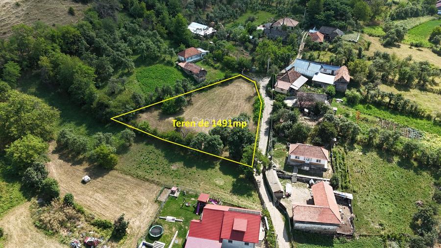 Teren de Vanzare in Plopu - Darmanesti, cu toate utilitatile - 2