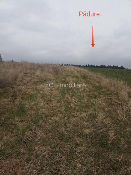 De vânzare terenuri intravilane în Reci - 8