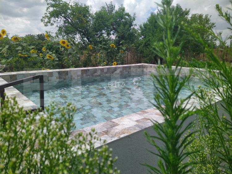 Teren EV si IV cu casa, 29.600 mp, utilitati si acces facil, Albesti - 11