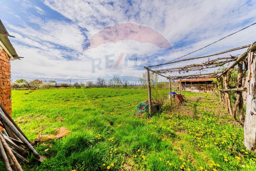 Casă cu teren 4500mp de vanzare in Carand Jud. Arad - 21