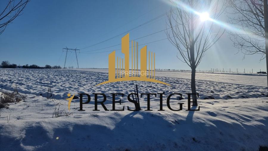 TEREN  DE VÂNZARE 6695 MP ÎN SIBIU ȘURA MARE - 5