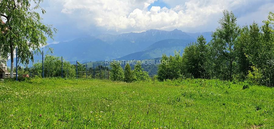 Teren pentru casa de vacanta , Pestera , Brasov - 2