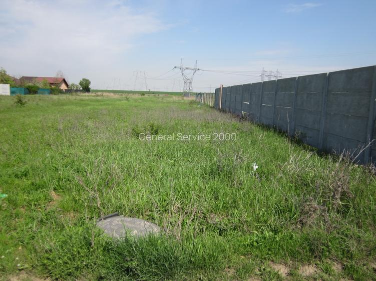 Domnesti-Crengutei - 5