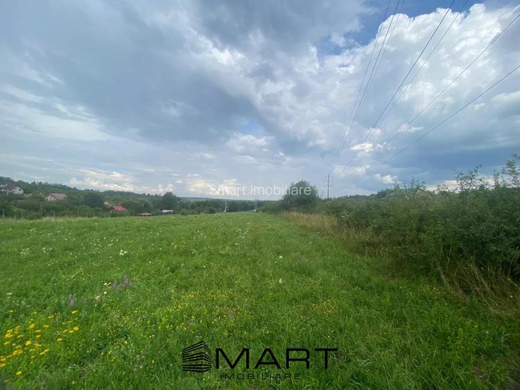 Teren 8000mp Daia noua - 7