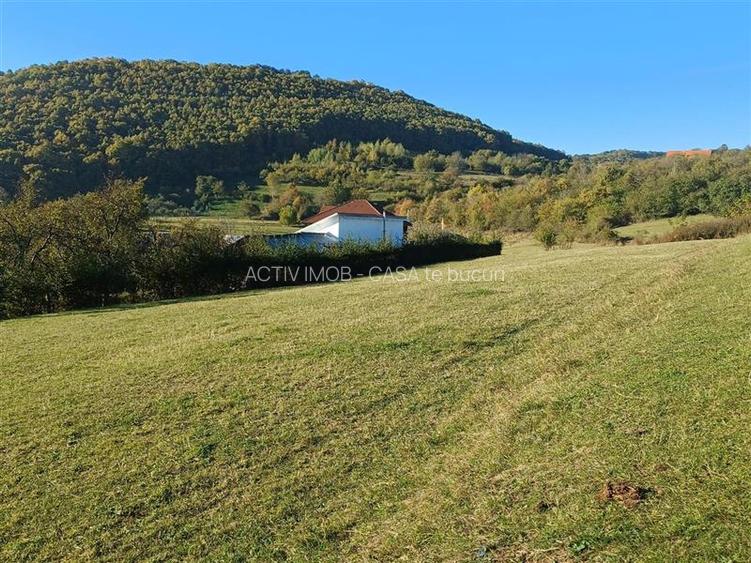 Teren de vanzare in Rasinari posibilitate de racordare la curentul electric - 7