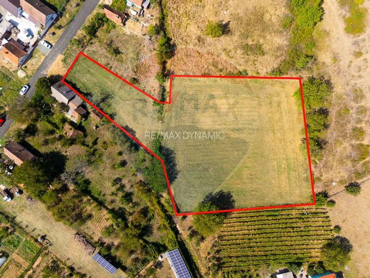 Minis- destinatia ideala pentru o resedinta de lux in inima naturii. - 4