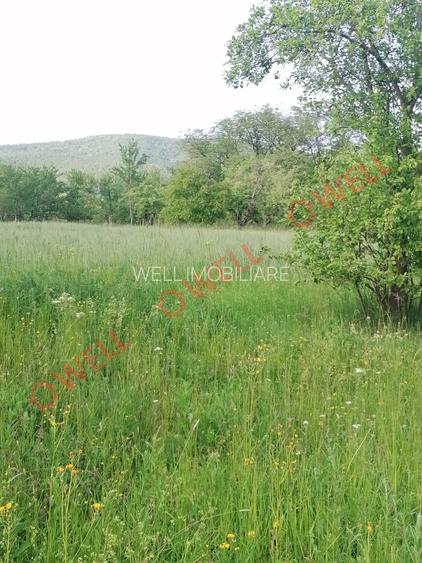 De vânzare teren intravilan în Estelnic! - 8