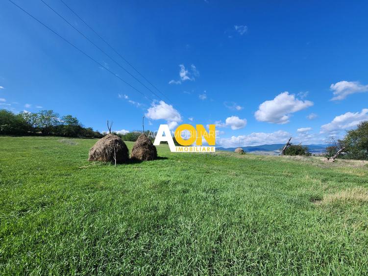 De vanzare 2965 mp teren intravilan, toate utilitatile, Oarda de Sus - 5