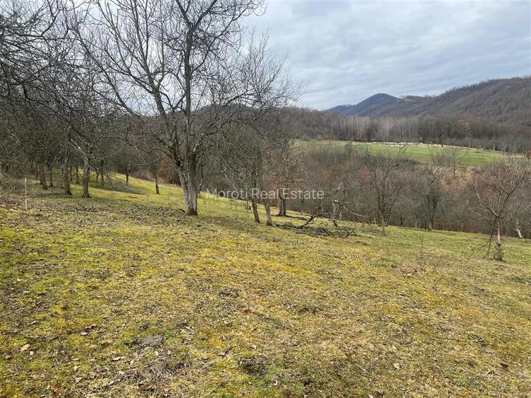 Teren intravilan si extravilan Luncoiu de Jos - 12