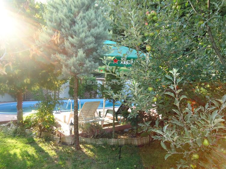 Vila piscina superba gradina matura cu iesire directa la padure - 29