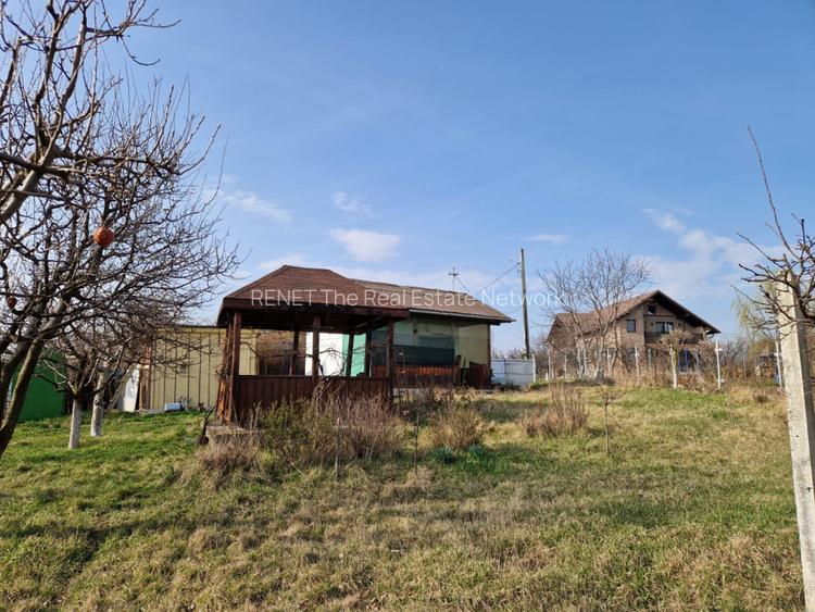 Teren - Roman  -Trifesti - ieșire la lac - livada pe rod - 2