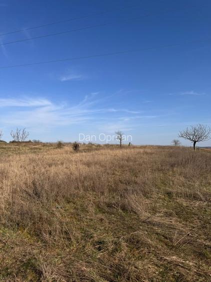 Teren intravilan panoramic 6700 mp – ideal vilă premium – aproape de Oradea - 5