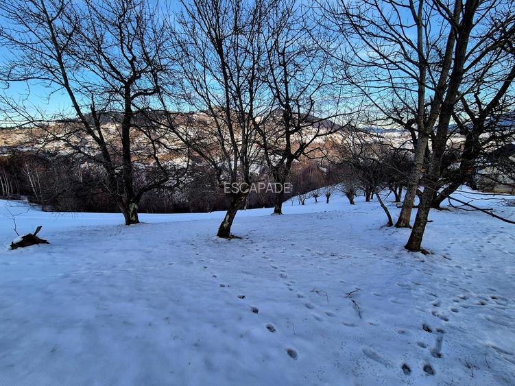 Teren intravilan Simon/Bran, 4318 mp , casuta intabulata, utilitati - 14