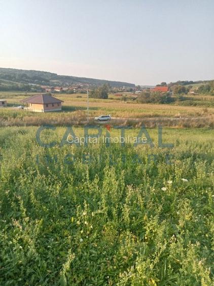 Teren intravilan 3500 mp Zalau - 2