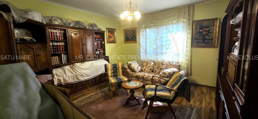 De Vânzare Casă zona Lucian Blaga Satu Mare - 10