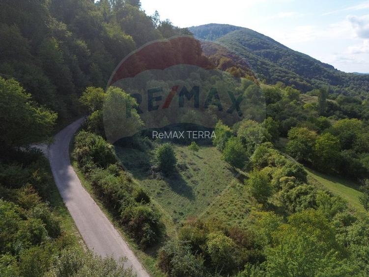 Teren intravilan de vânzare în Măgureni - 5