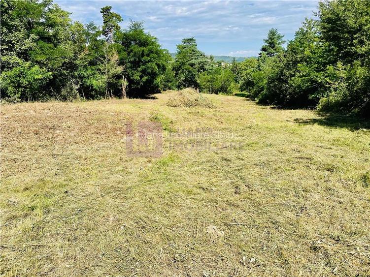 Teren 3581 mp | Marginimea Sibiului | priveliste superba - 11