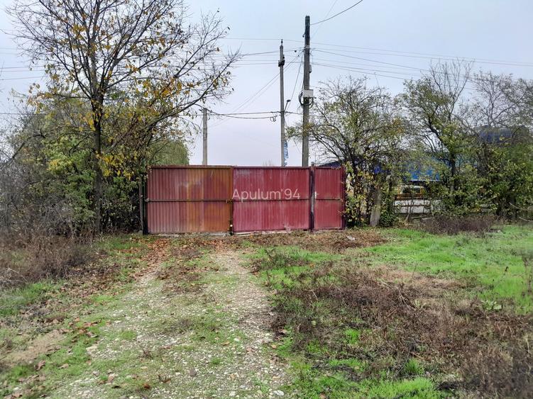 De vanzare casa +teren 16k mp in BARCANESTI / IL - 2