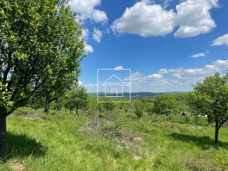 Teren intravilan cu priveliste superba in zona Sibiel - 2