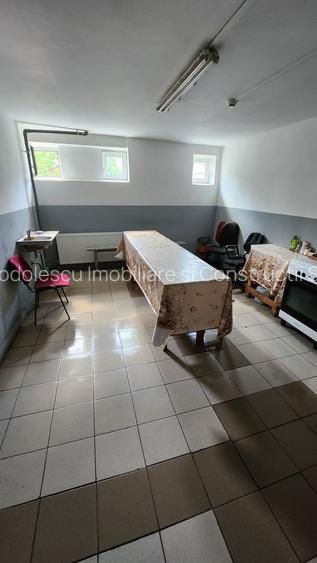 Spatiu industrial productie/ depozitare, Timiș - 33