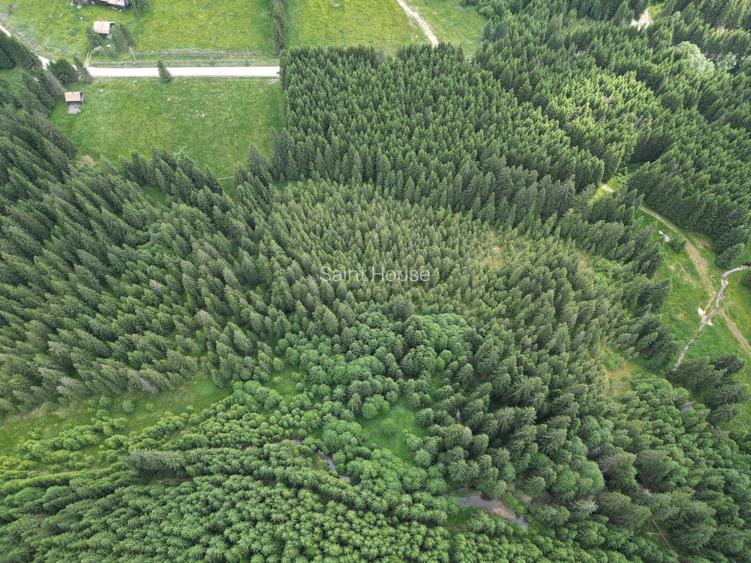 Teren extravilan 5000 MP Comandau - 8