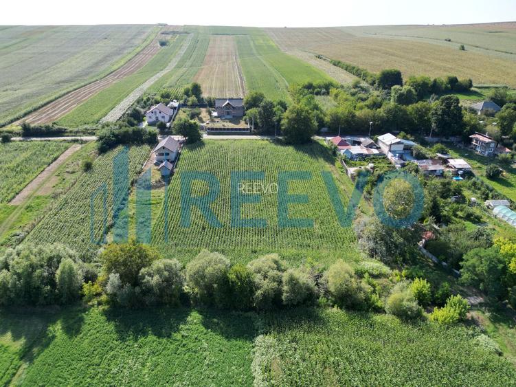 Teren intravilan de vânzare, Sat Bogdănști, Com. Traian - 8