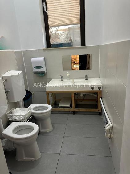 Vilă individuală 17 camere, 850 mp teren | Grădiniță / clinică | Iancu Nicolae - 15