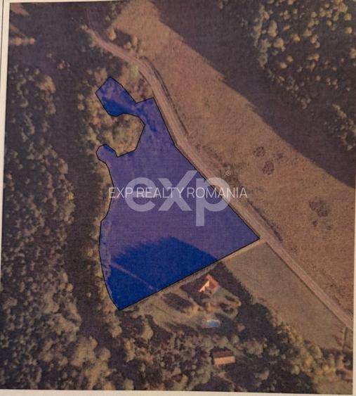 Teren extravilan 19.200 mp – DN1A Săcele, Brădet | Front stradal 130 ml - 1