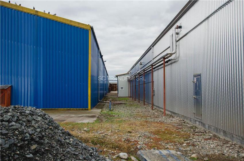 Oferta! Proprietate 5200mp hale cu 3,1 ha teren intravilan,  Miercurea Sibiului - 32