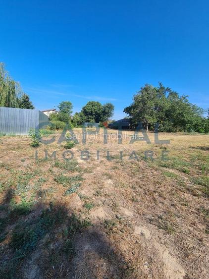 Teren Intravilan 6017 mp pentru Constructii Case Individuale, Duplexuri, Blocuri - 6