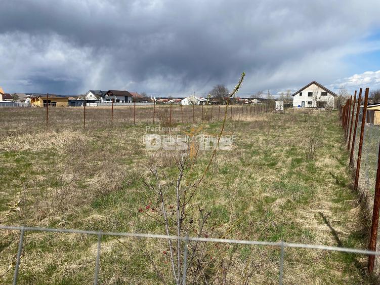Teren de vanzare Dumbrava Rosie 20.000 Euro 900mp - 9