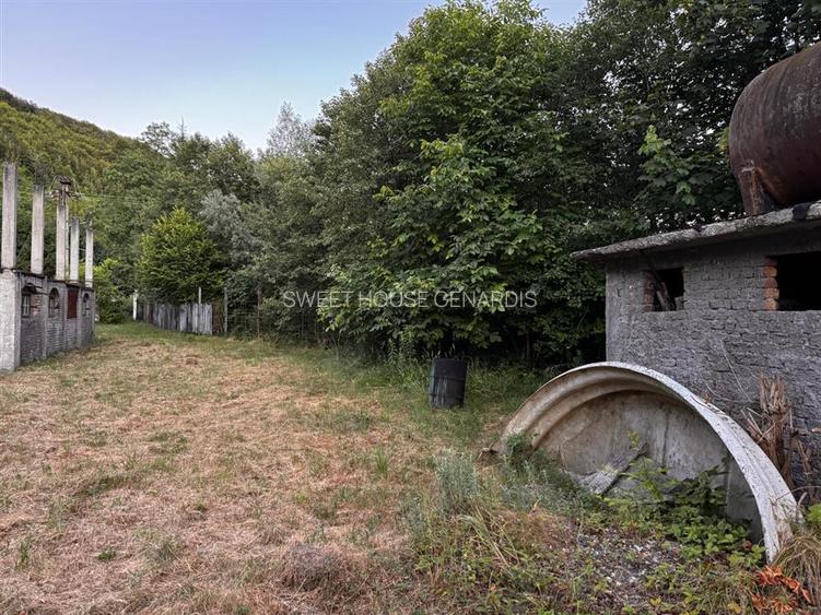 Oportunitate de investitie Cabana Cartisoara Zona Turistica - 22