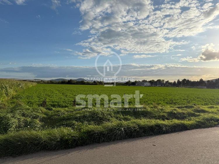 Teren Bistrita Valea Jelnei 19 eur mp - 2