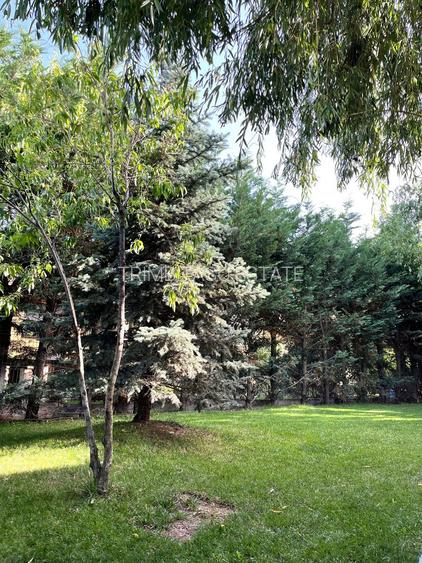 Casă de vânzare  Balotești Ilfov zona iesire Tunari, Dimieni - 25