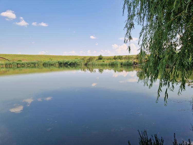 Teren cu deschidere catre lac - 40 km de Bucuresti - 8