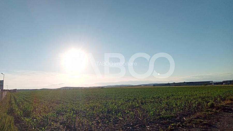 Teren intravilan 2 ha deschidere drum zona Industriala Vest Sibiu - 3