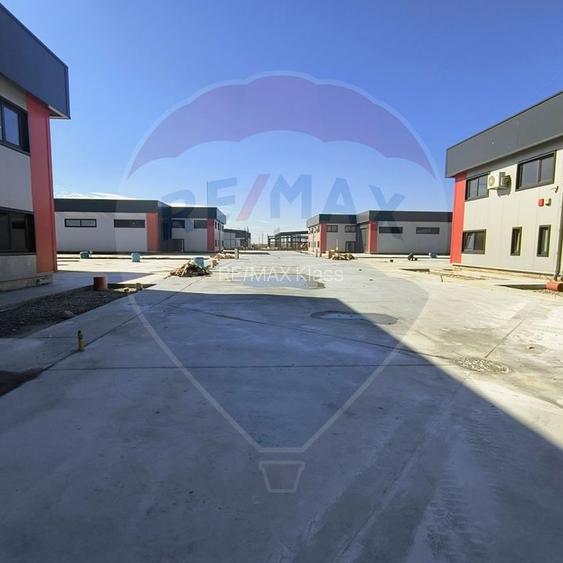 Hale noi de inchiriat Domnesti - putere instalata pana la 600kva - 19