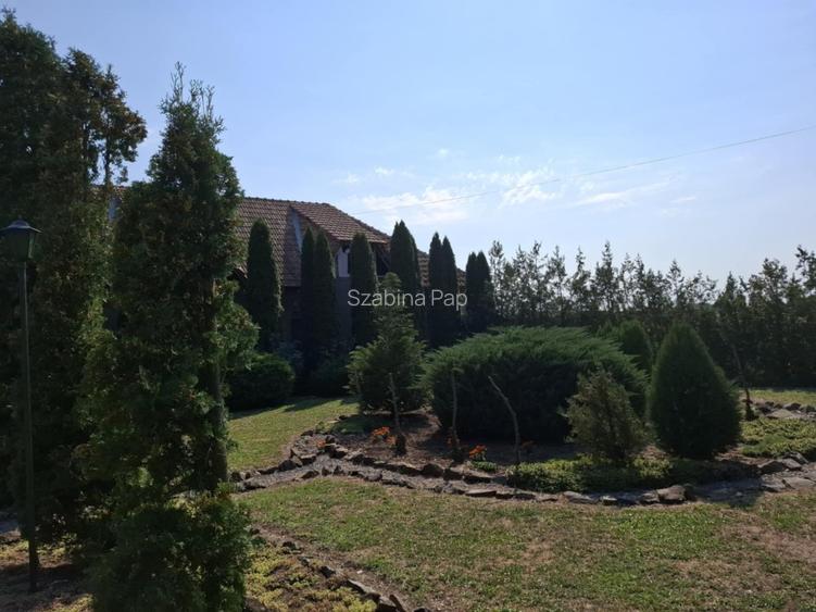 Se vinde casă + teren generos în comuna Acîș (aprox. 38 km de Satu Mare) - 12