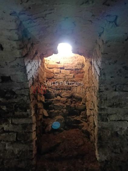 Conac apartinand lui Cicio POP, judet ARAD - 9