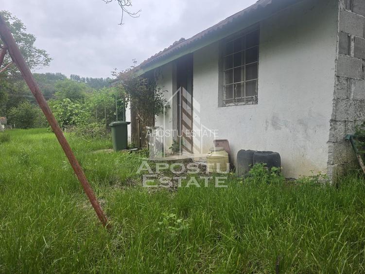 Proprietate cu potential turistic in Gurahont - 23