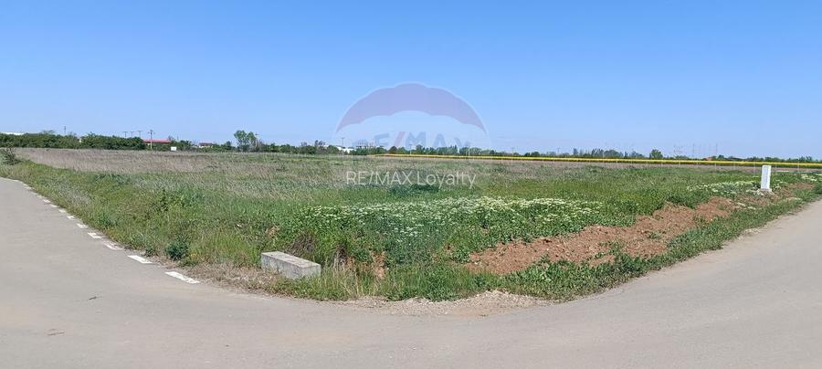 Teren 980mp Ciolpani - 2