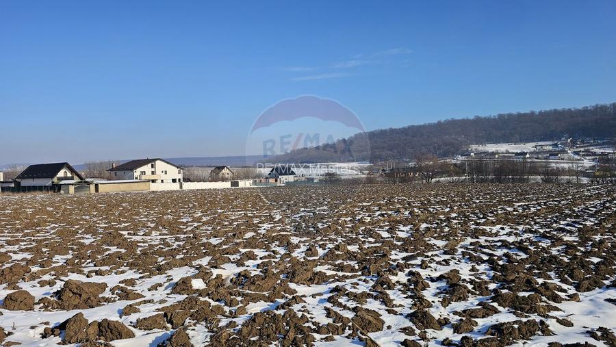 Teren intravilan 2200mp, Suceava / DJ208D - 9