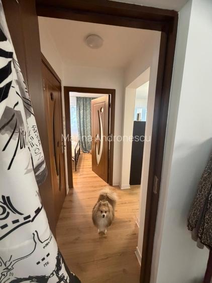 Proprietar vând apartament 3 camere etaj 5, renovat în bloc reabilitat preț  - 13