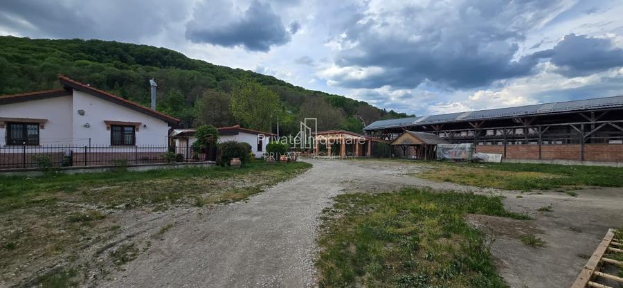 Teren + hale industriale 8785mp + casă–Oportunitate investiție / producție – - 31