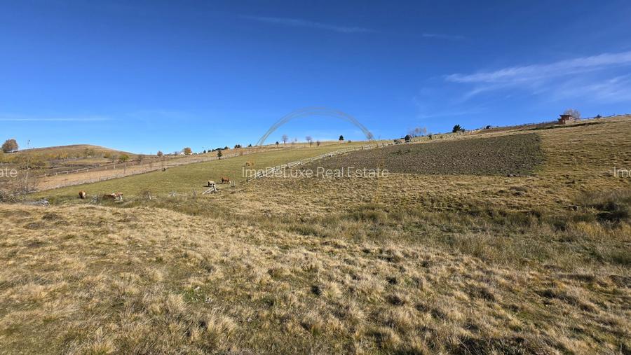 Teren extravilan, 4130mp, cu parau, la 500m de Primaria Marisel - 12