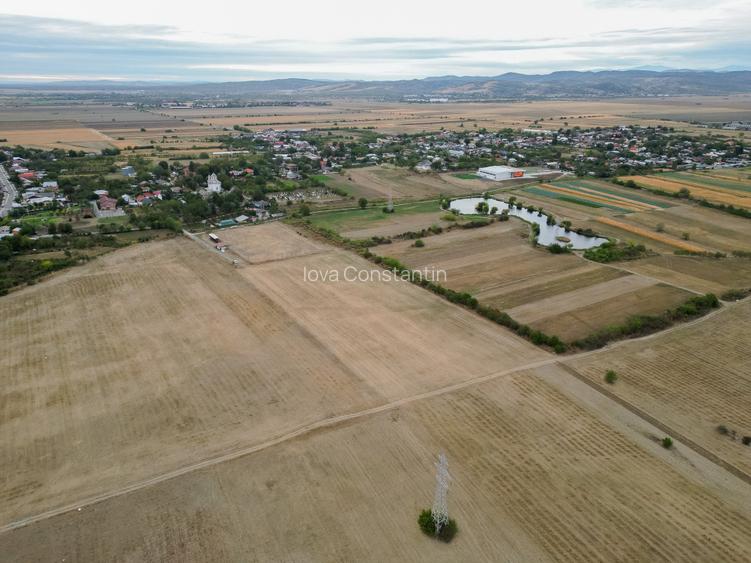 Teren intravilan 30.110 mp Filipeștii de Târg – ideal investiție / dezvoltare –  - 5